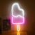 Groenovatie LED Neon Wandlamp “IJsje” – Op USB – 45x21x2cm – Roze / Wit