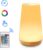 Oplaadbaar Nachtlampje Met Touch Control & Afstandsbediening-Wit Warm licht en 13 RGB kleuren – met Timing-functie- Sfeerlamp – LED verlichting – Leeslamp – Tafellamp – Bedlamp…